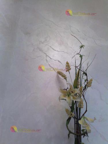 antico-silver-36