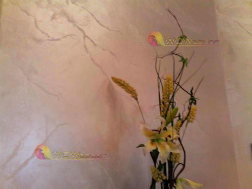 antico-silver-43